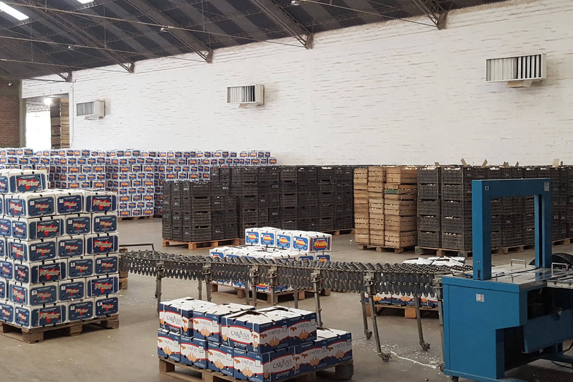 Ampliamos nuestra planta de producción